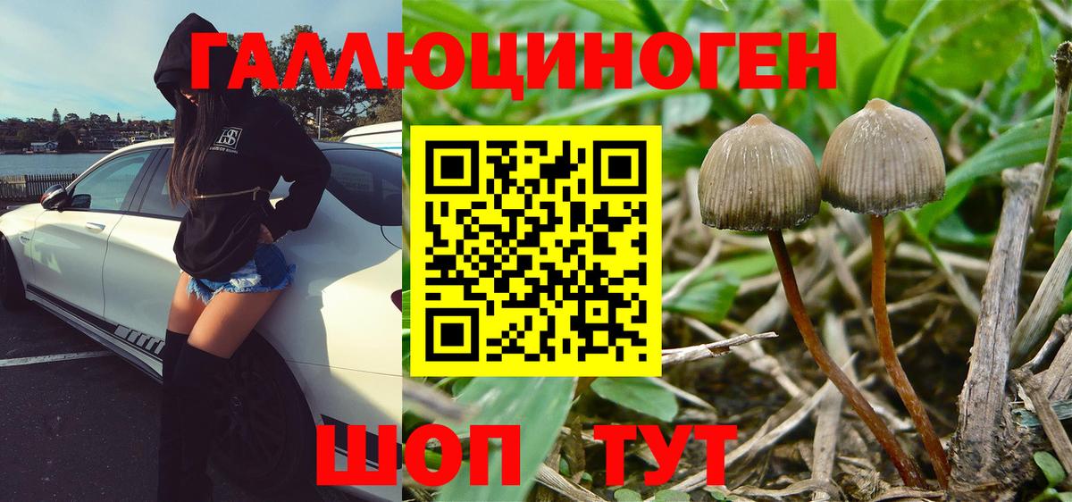 Псилоцибиновые грибы MAGIC MUSHROOMS Зеленогорск