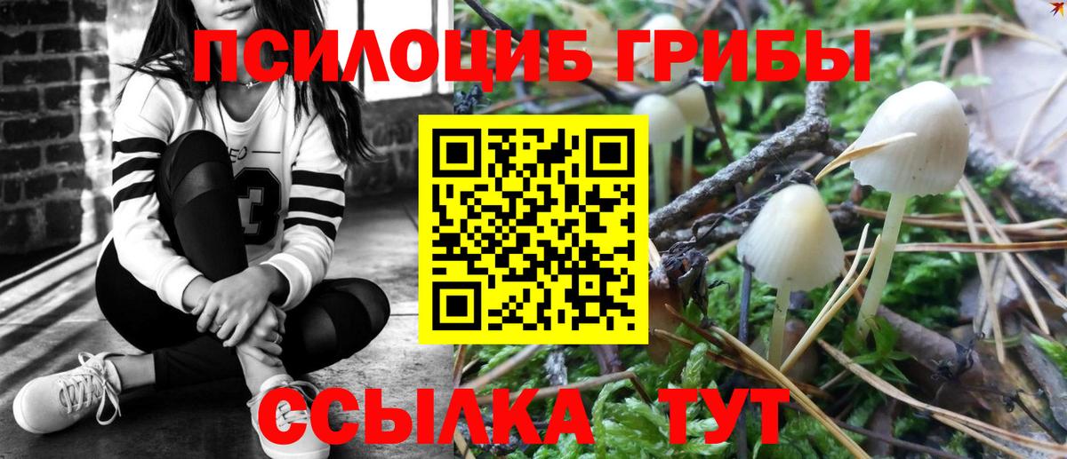 Галлюциногенные грибы GOLDEN TEACHER  Вход с VPN  Зеленогорск 