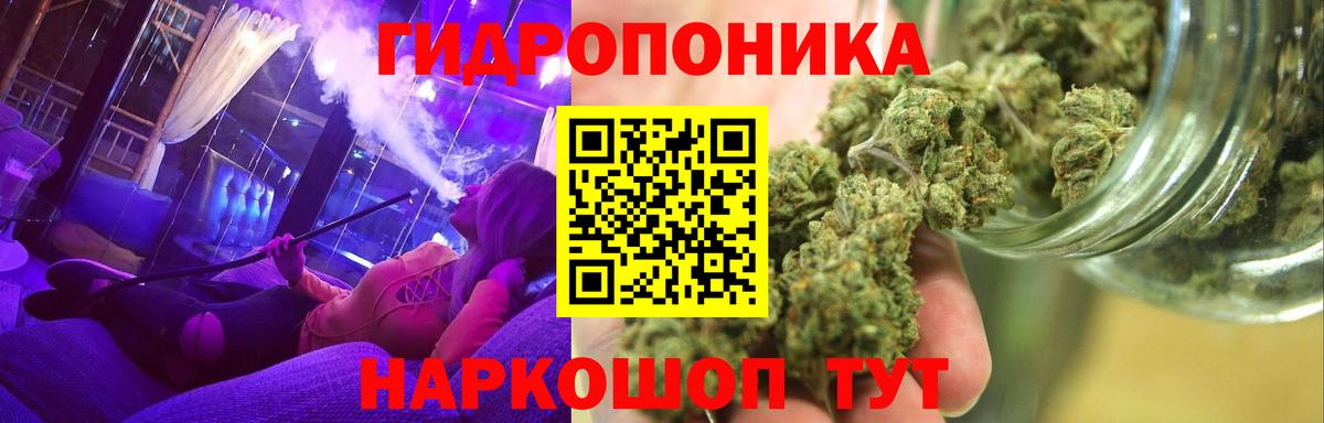 Шишки марихуана AK-47  Бошки марихуана сатива  Зеленогорск  Вход с VPN  Бошки Шишки SATIVA & INDICA 